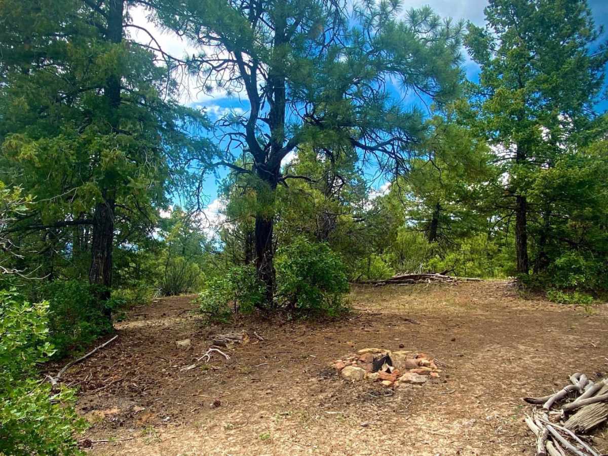 Eight Mile Mesa B-USFS Rd #651B photo 3
