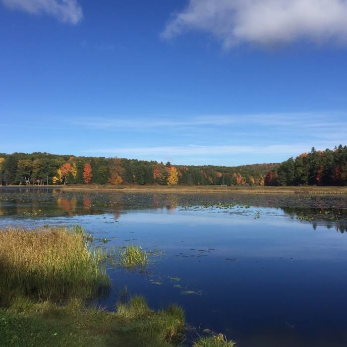 Near Black Moshannon State Park Loop