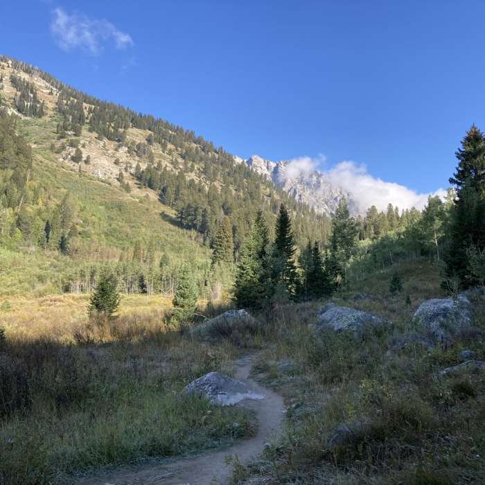 Near Moose Ponds Loop Trail
