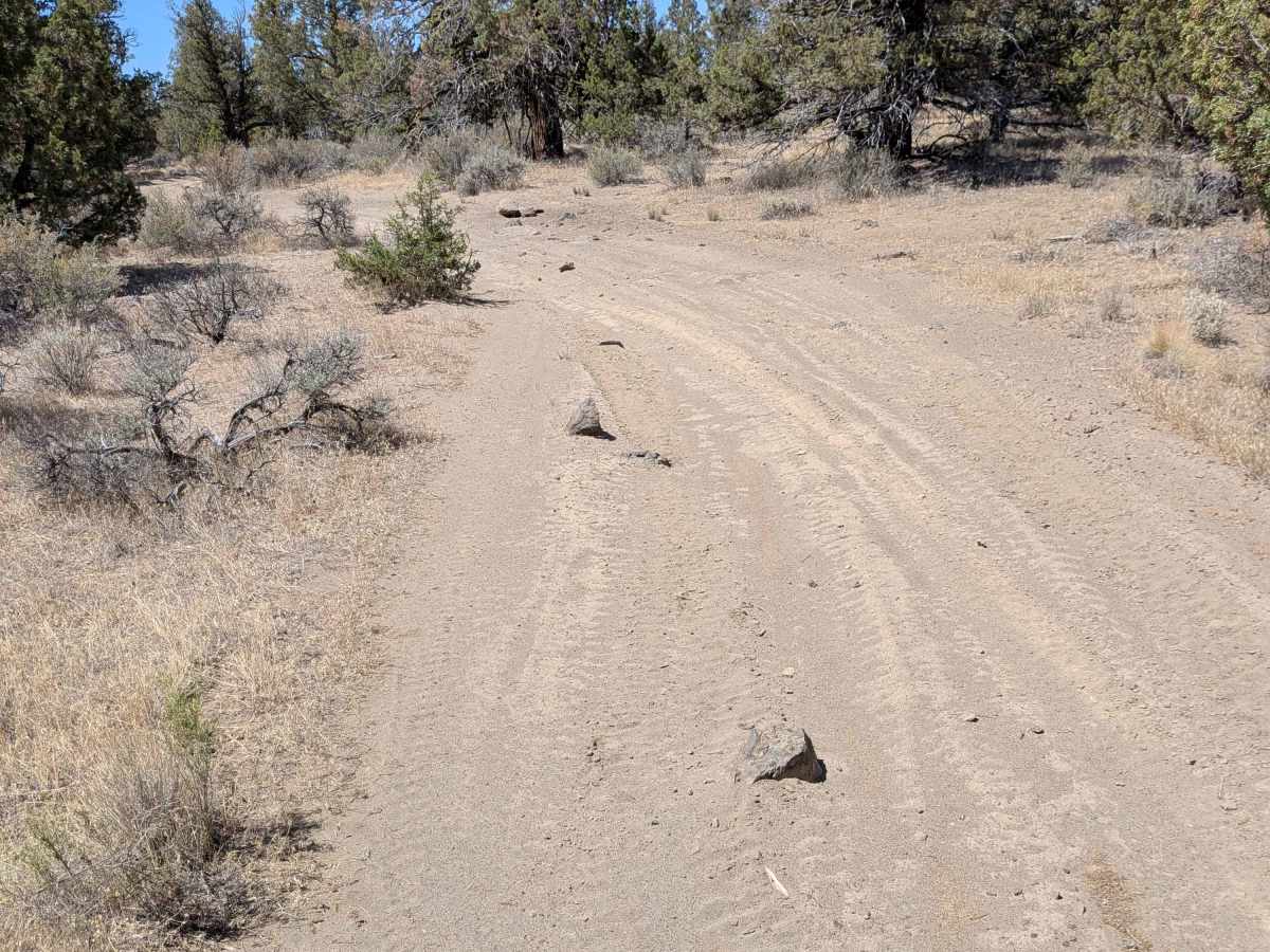 Cline Buttes Off Highway Vehicle Trail 41 photo 3