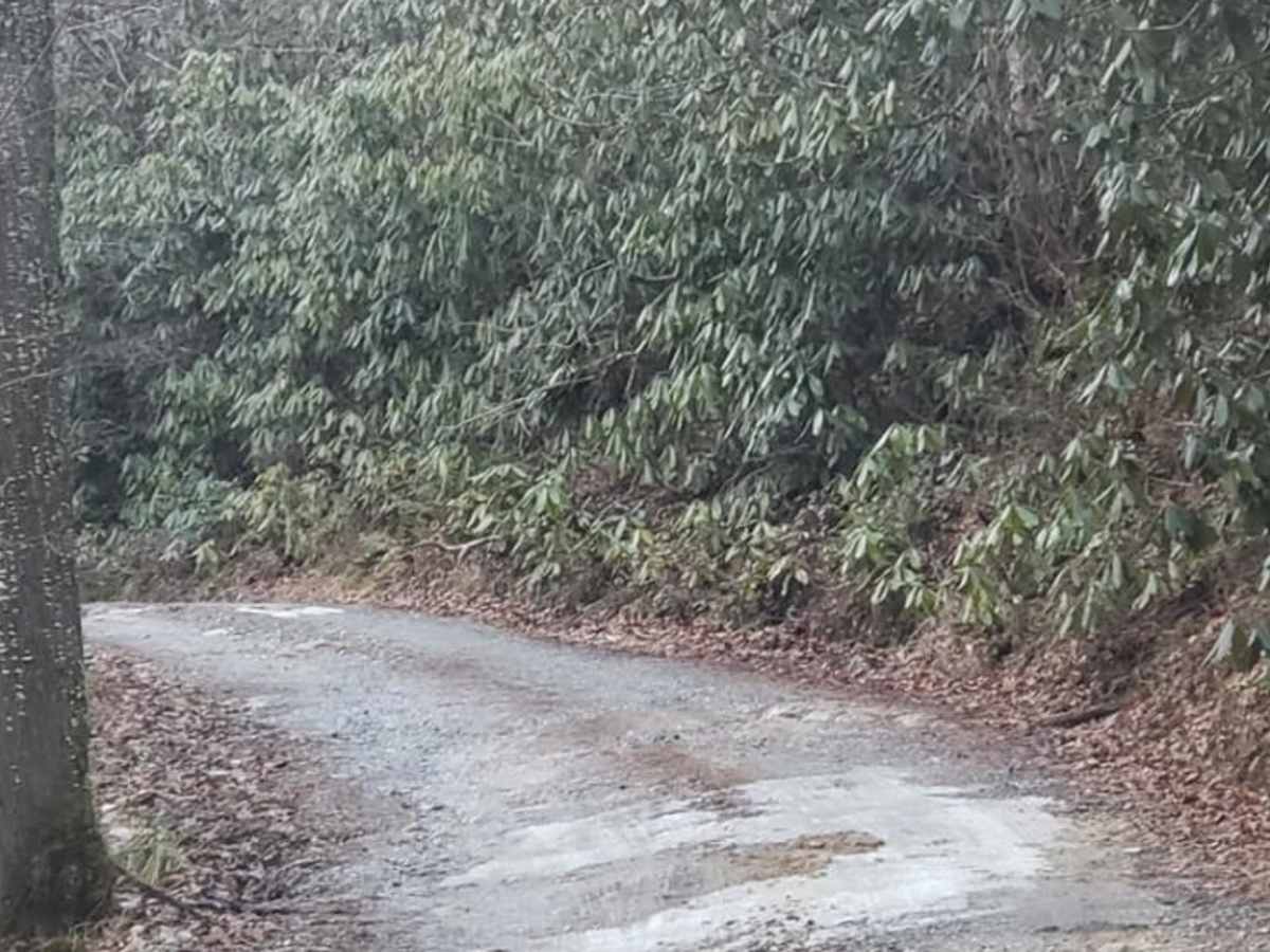 Green River Road photo 4