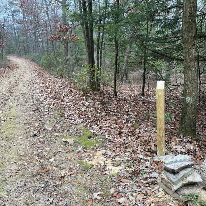 Near Heisley Valley Road To and Fro