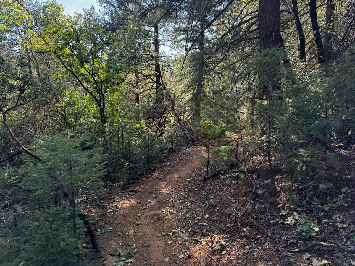 Trail 5-1 (11E32) photo 6