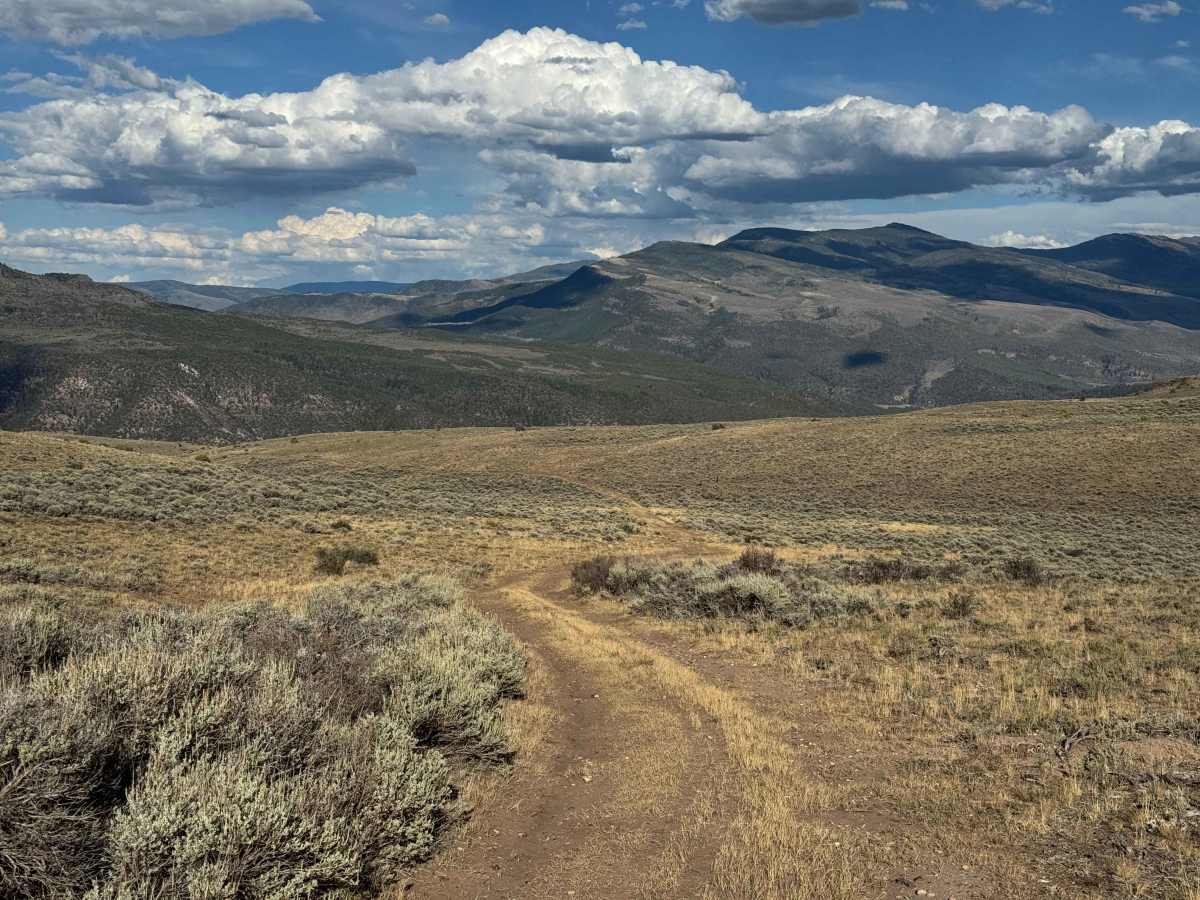 BLM 8536 photo 2