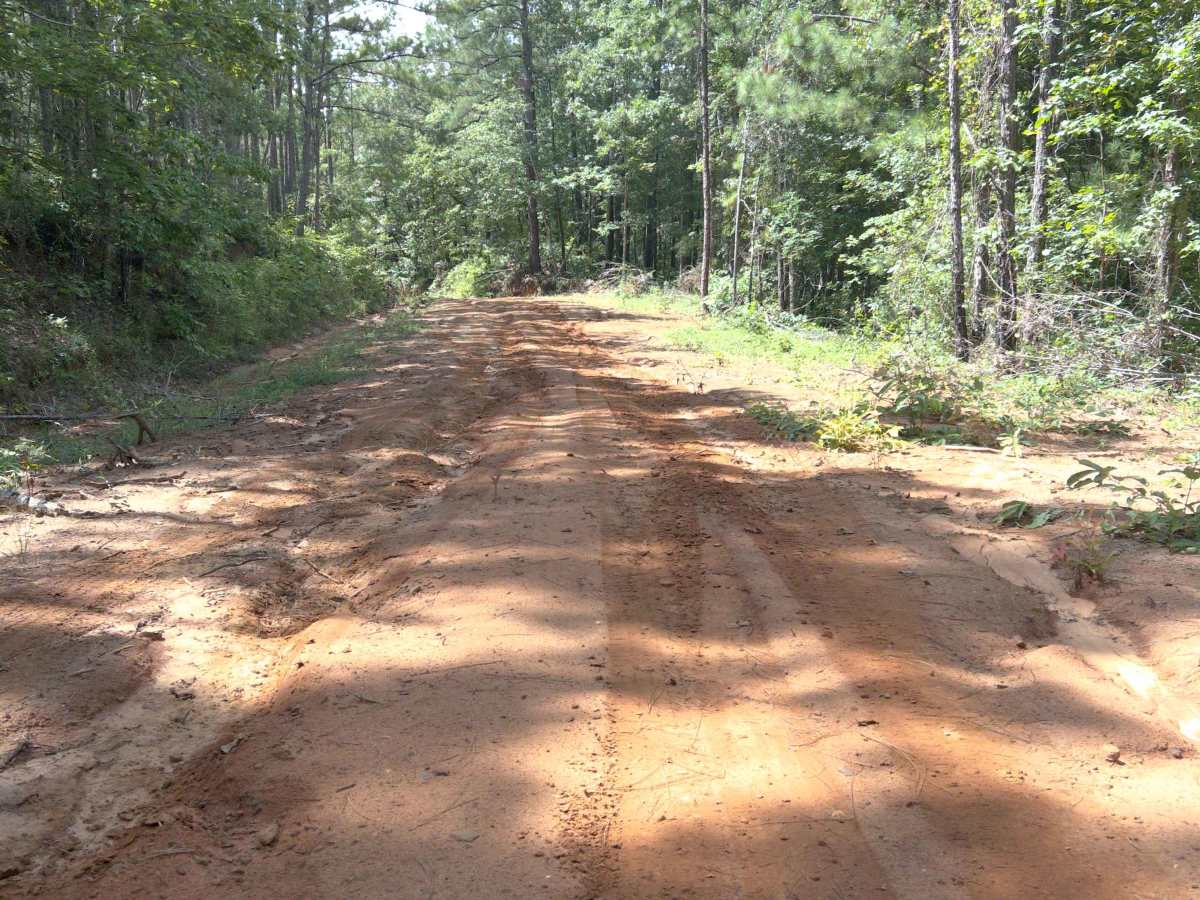 Dixie Road - FS 421 photo 5