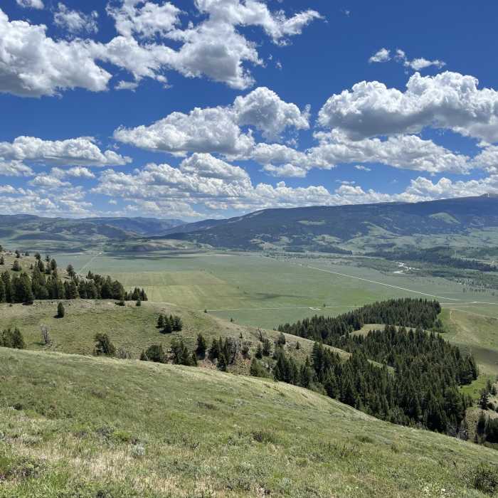 Near Blacktail Butte Summit