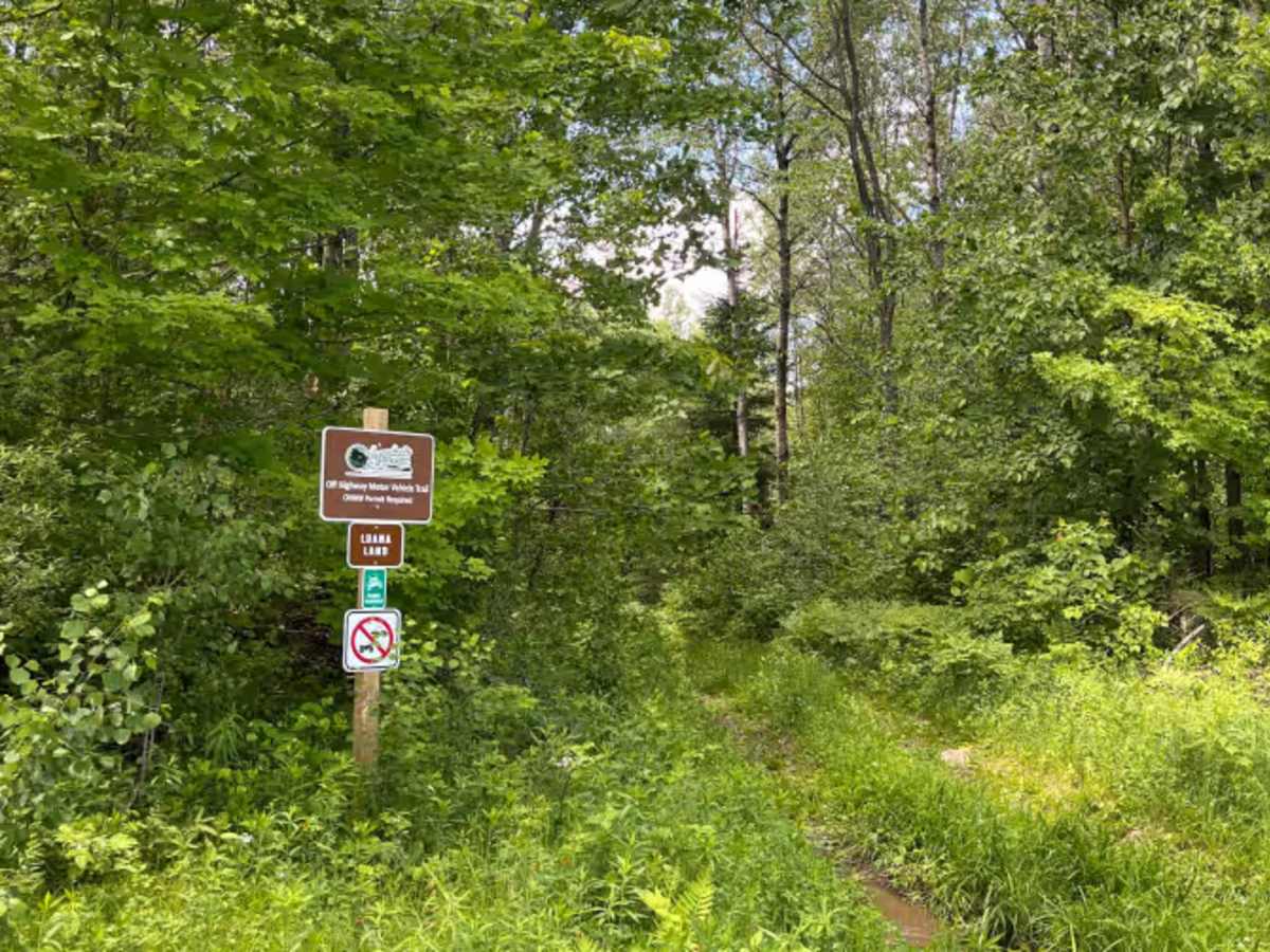 Luana Land trail photo