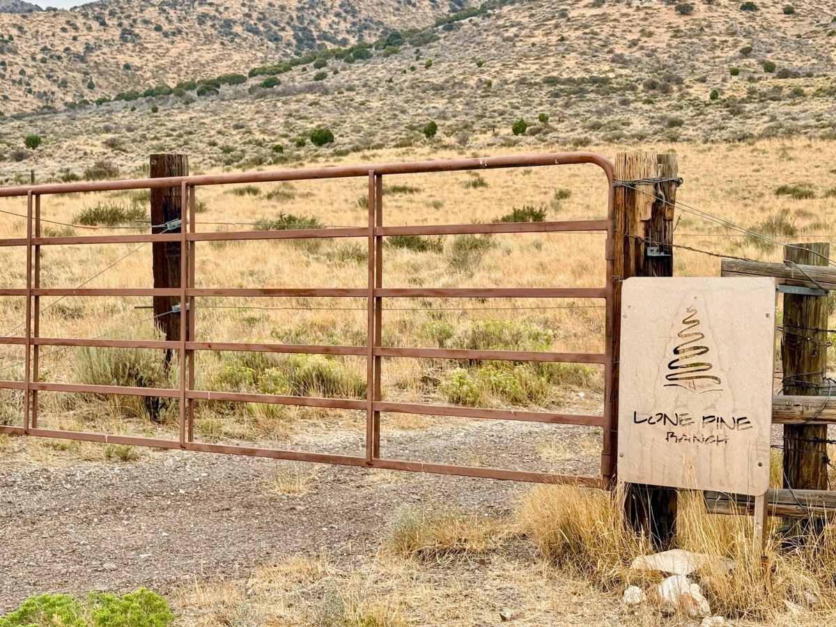 Lone Pine Ranch photo 2