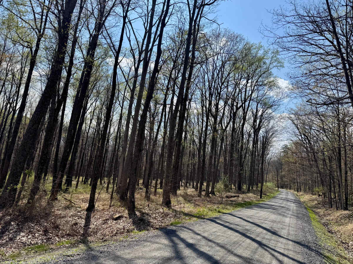 East Spruce Run Road photo 5