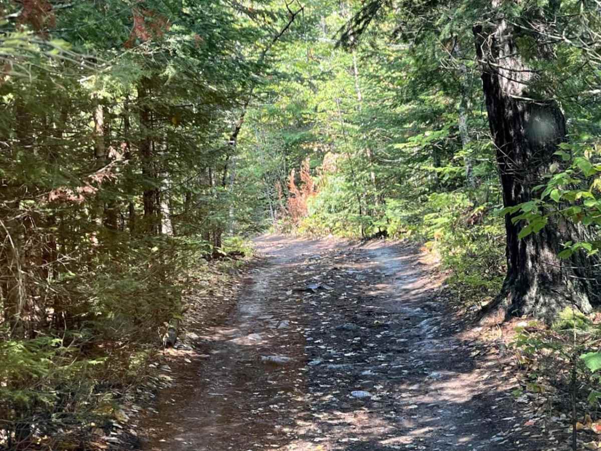 Northpoint to Rocket Range trail photo