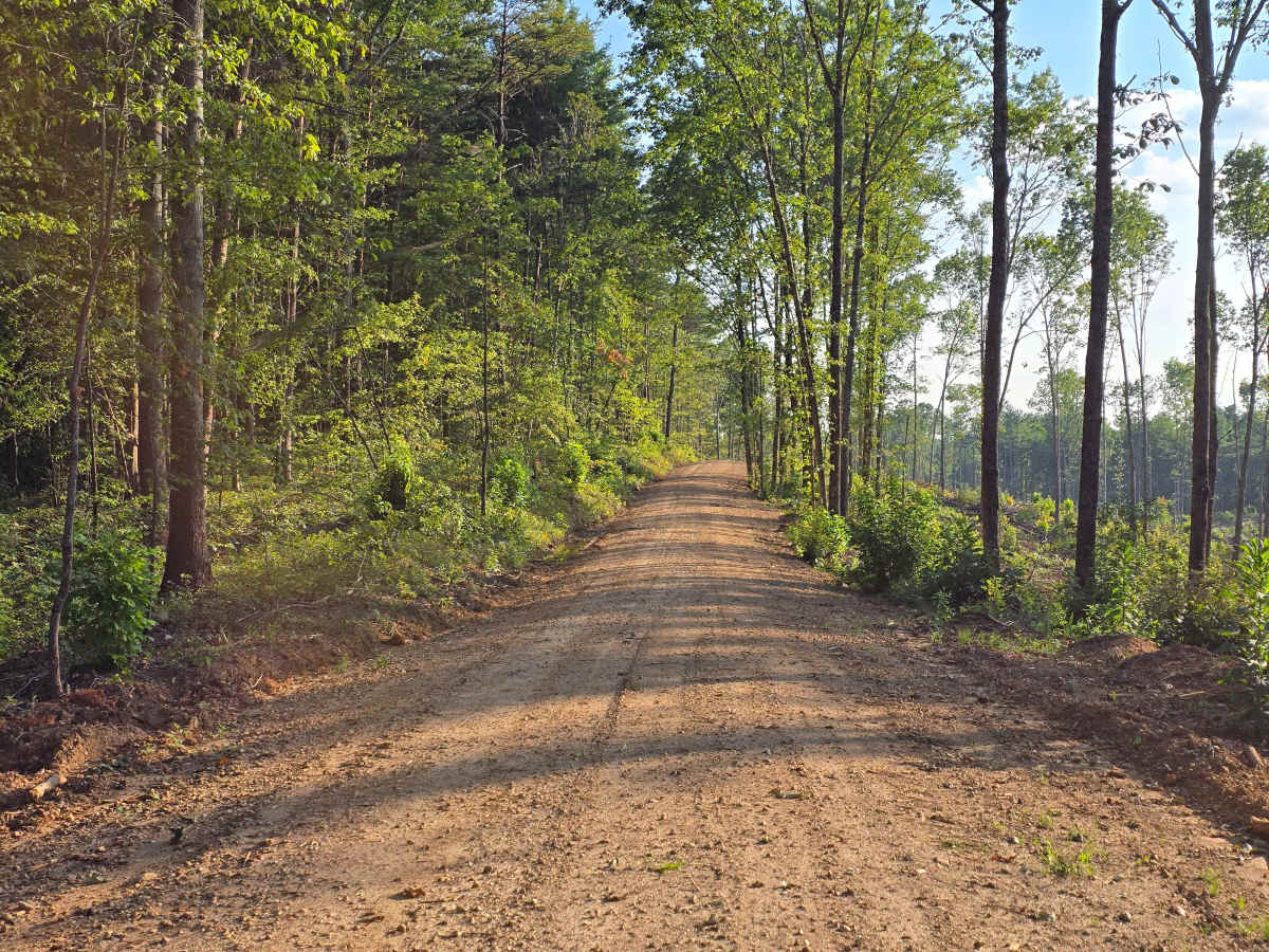 Persimmon Road - FS 741 photo 6