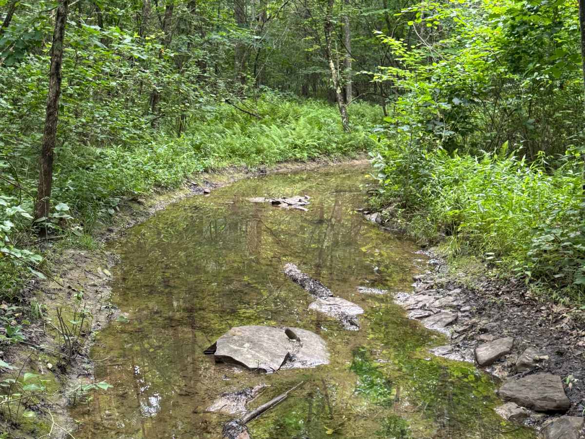 Trail 15 photo 4
