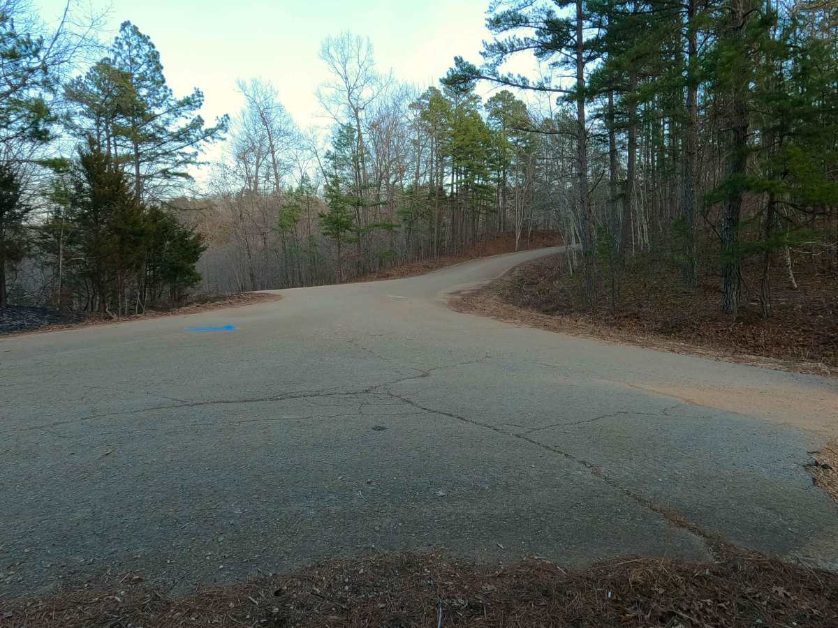 Cooks Spring Road photo 2