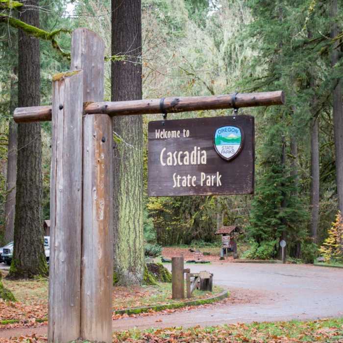 Near Soda Creek Falls Trail