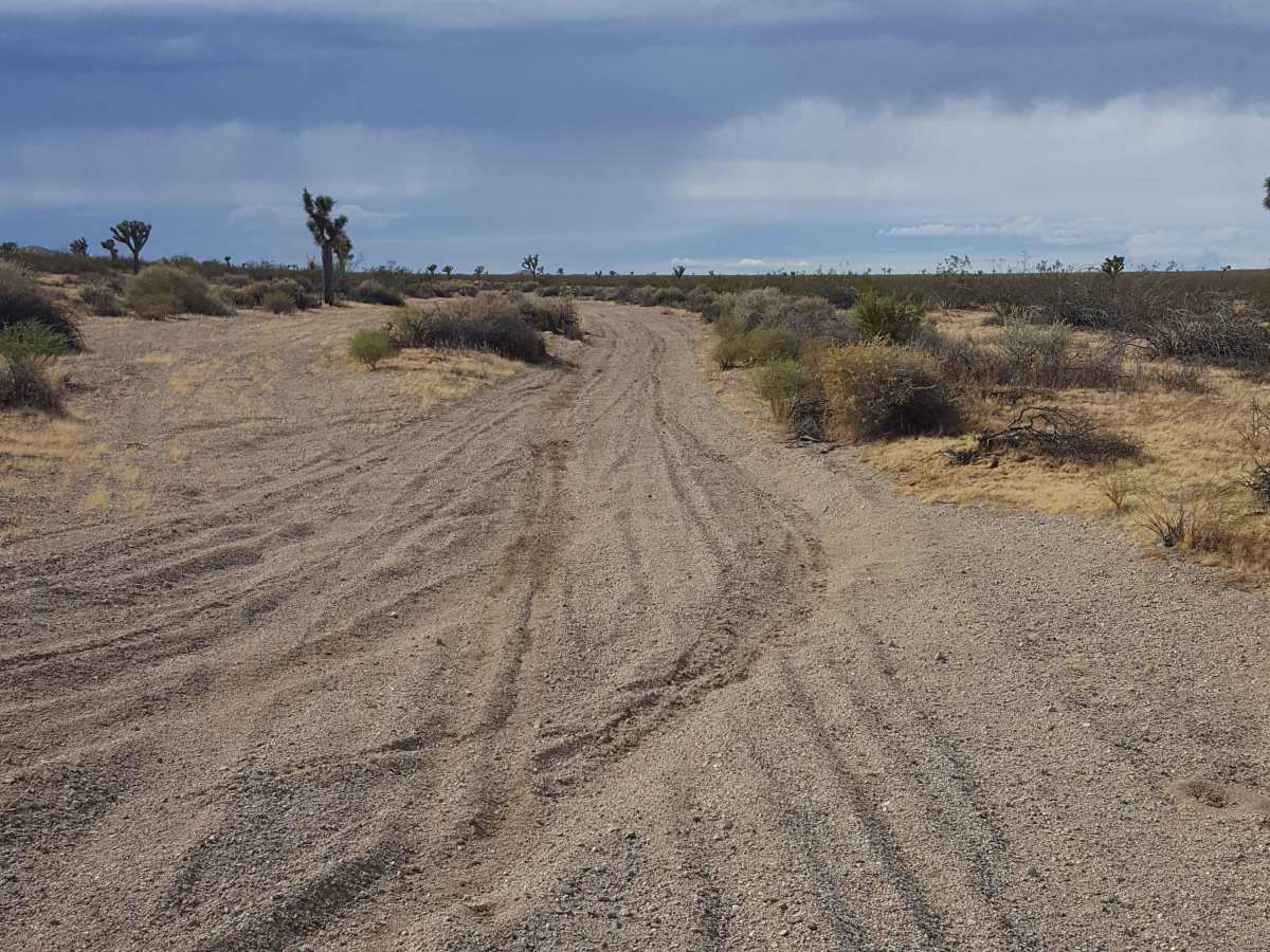 Waldheim Wash photo 2