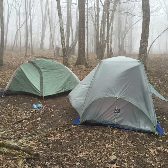 Campsite 13 - Sheep Pen Gap. Great elevation, not a far hike from Gregory Bald. Hikers can stay here for the night, and catch a sunset/sunrise from atop the bald. Ample firewood. Also accumulates a decent amount of snow in the winter (by TN/NC standards). Near Wolf Ridge Trail