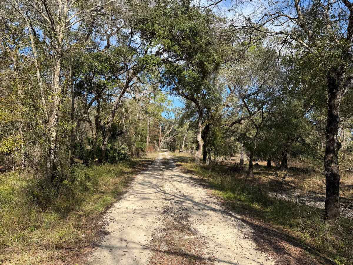 Cedar Pocket Road photo 6