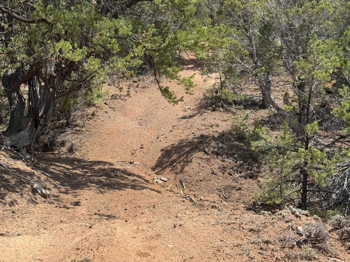 BLM 8457C photo 4