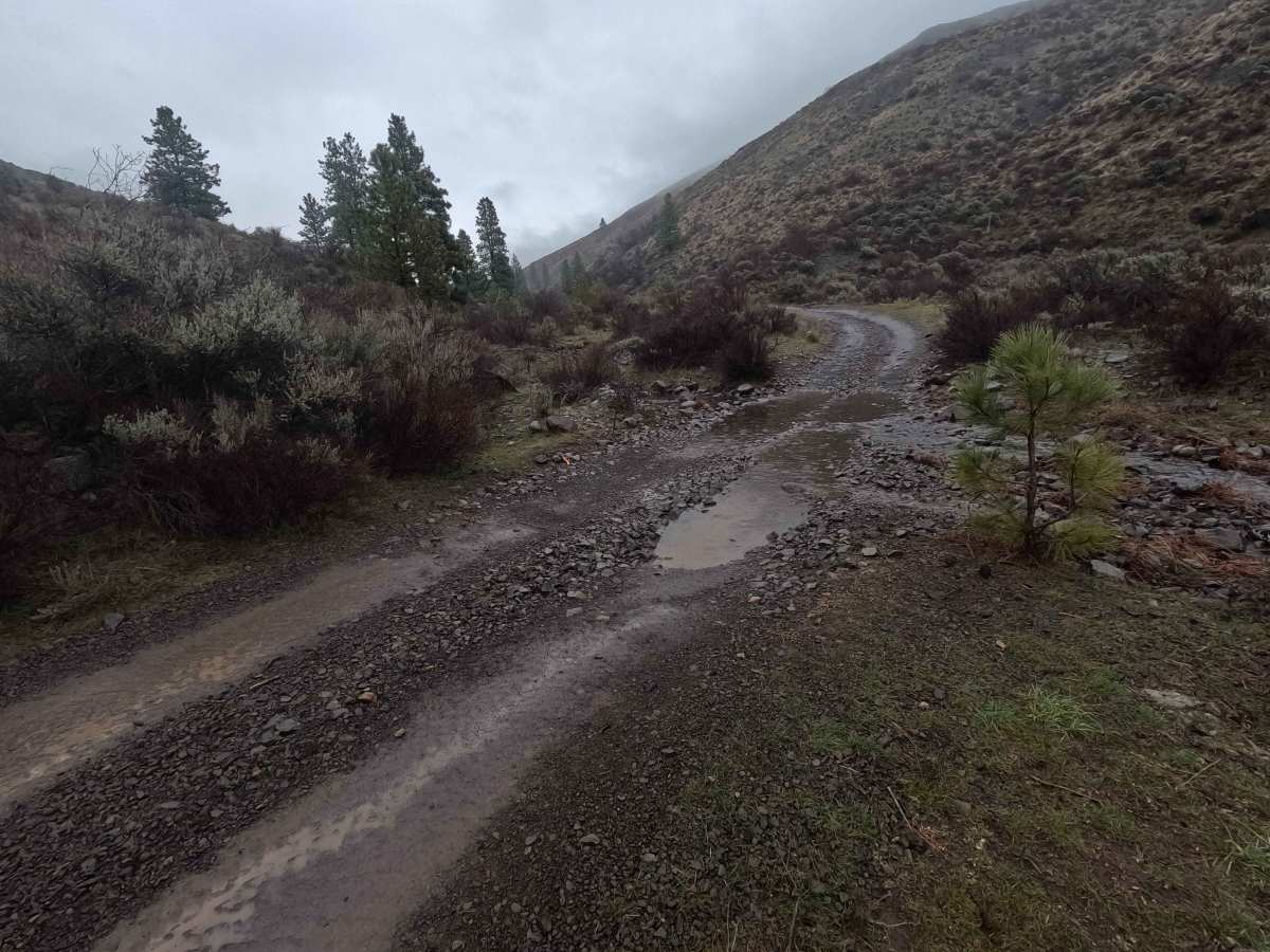 Parke Creek Road photo 6