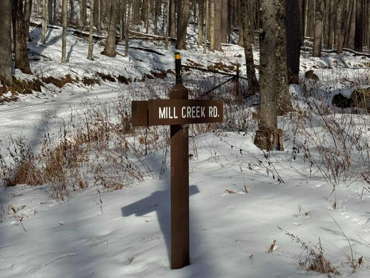 West Branch Road photo 2