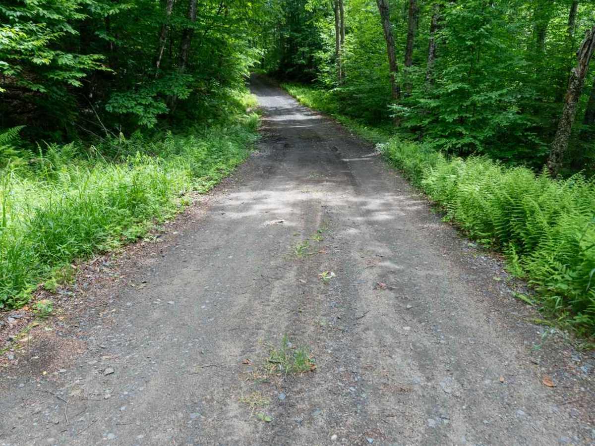 Woody's Road trail photo