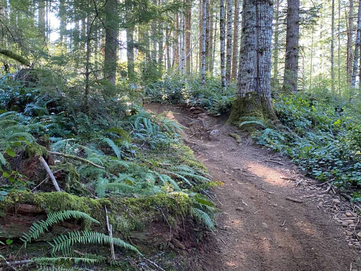 Trail 21 The Chute photo 5