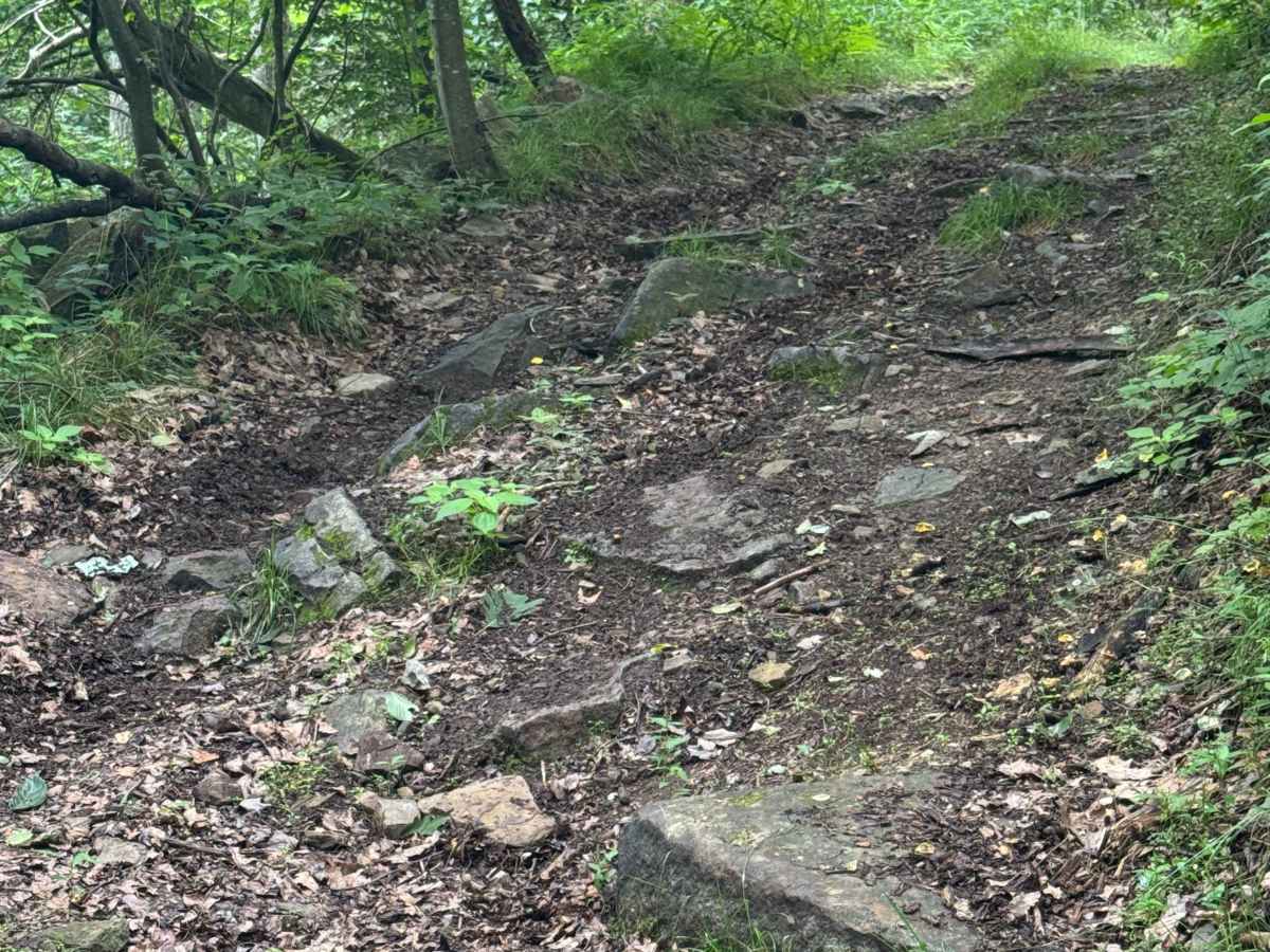 Trail 77 photo 5