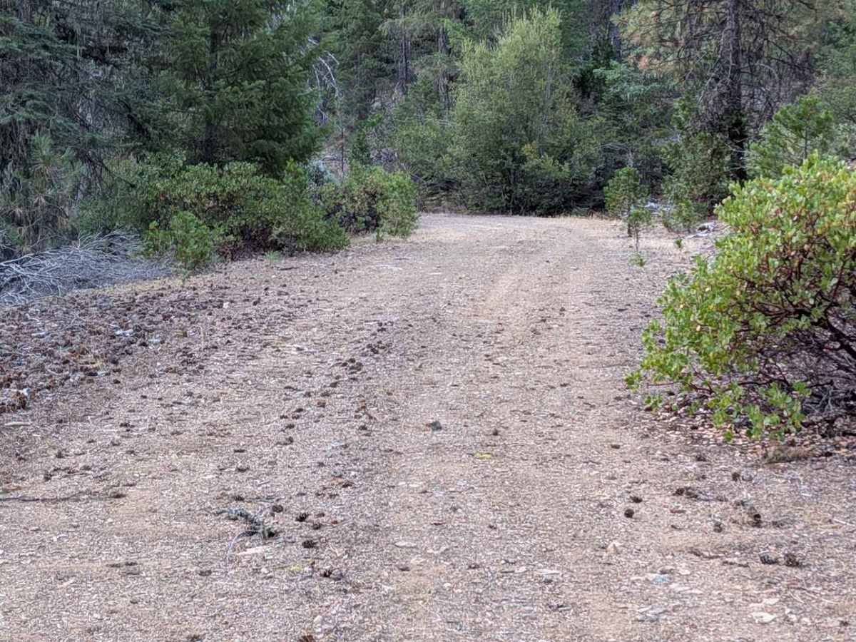 Skip Road - FS 1N28 photo 3