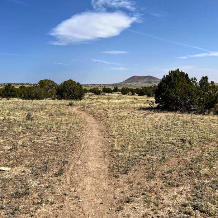 Near Arizona Trail Passage 35: Babbitt Ranch