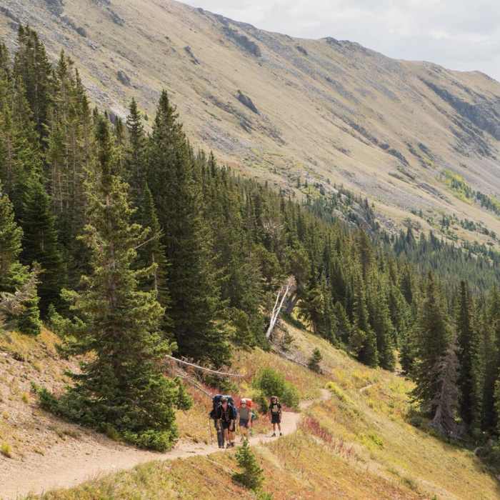 Near Neva Backcountry Zone