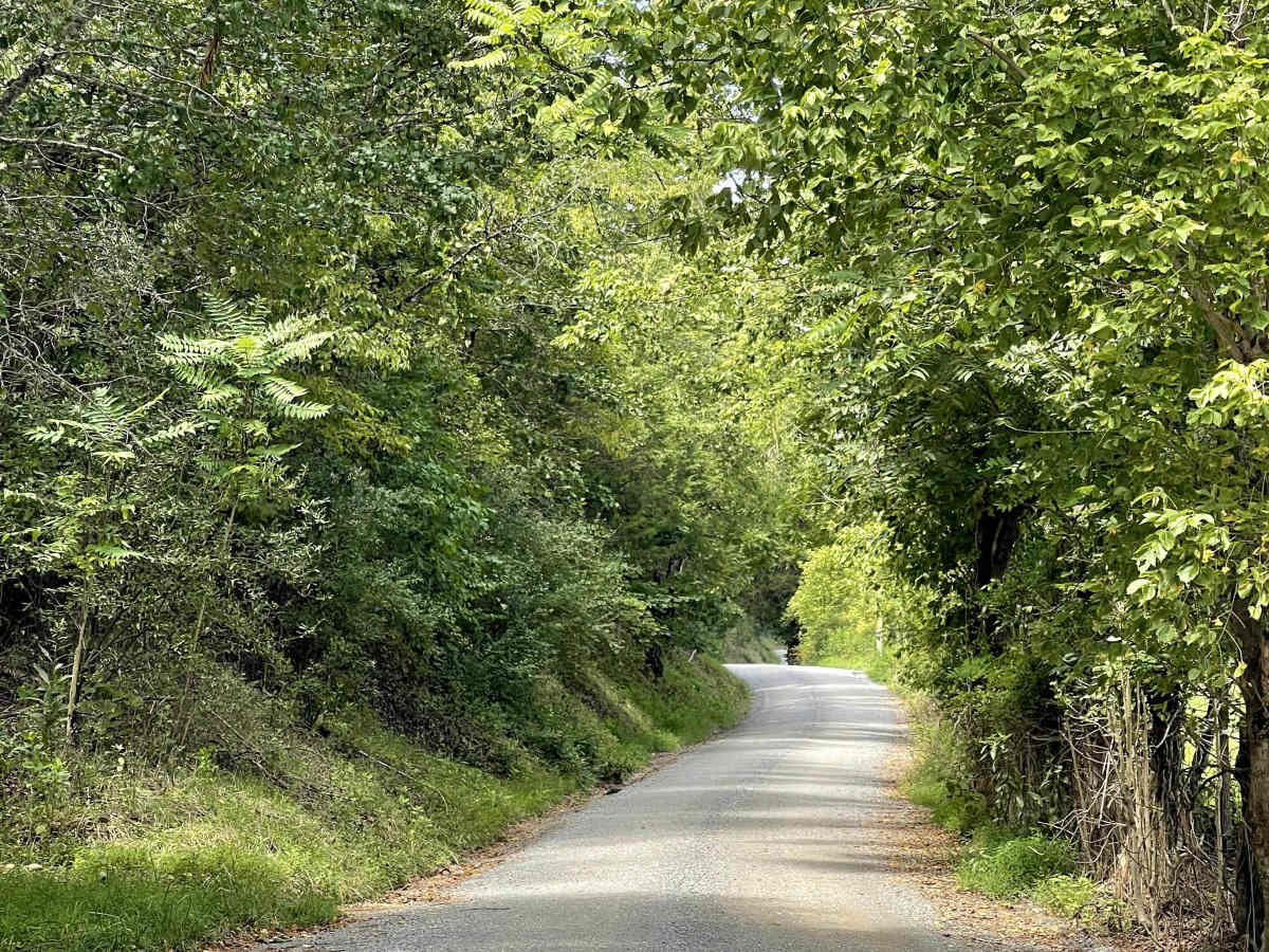 Route 685 trail photo