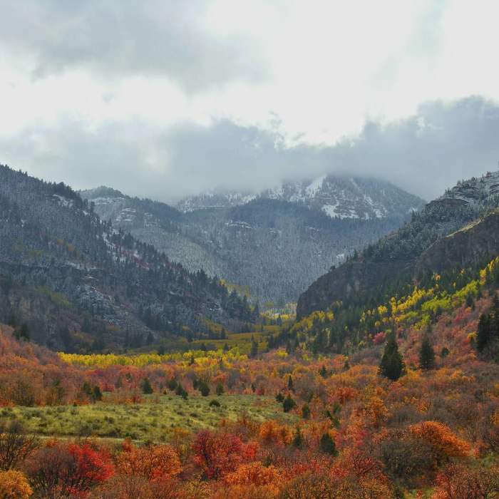 Mill Hollow in the Fall Near Spring Hollow