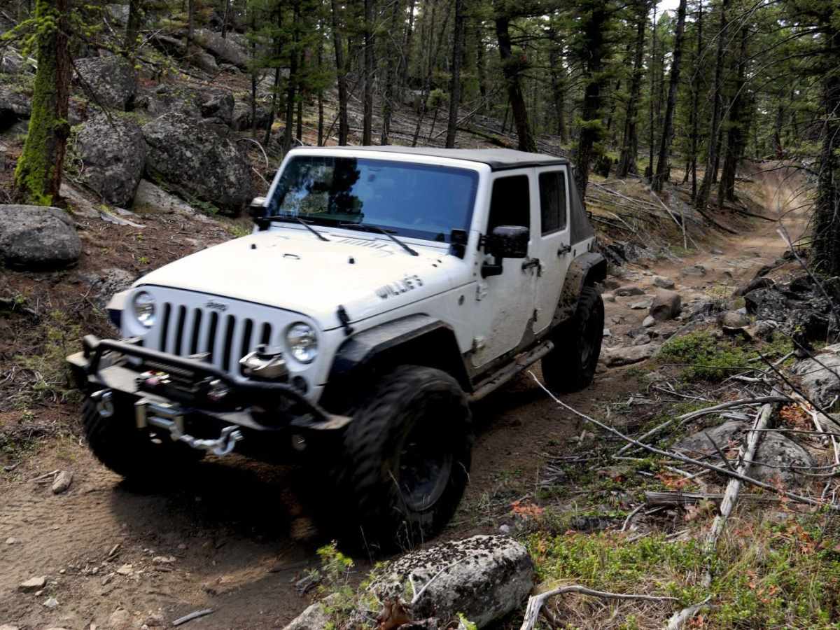 McCarty Creek Trail photo 3