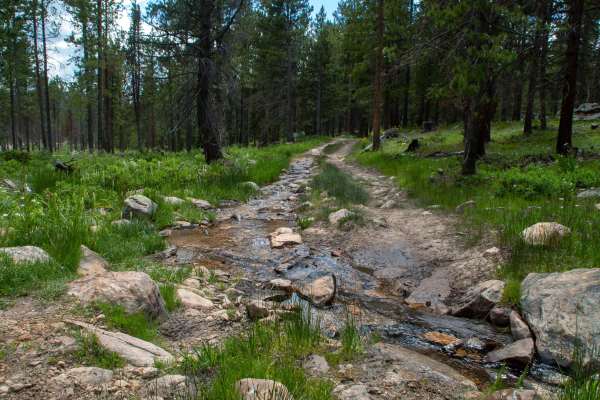 Spring Canyon 2 - FS 80944