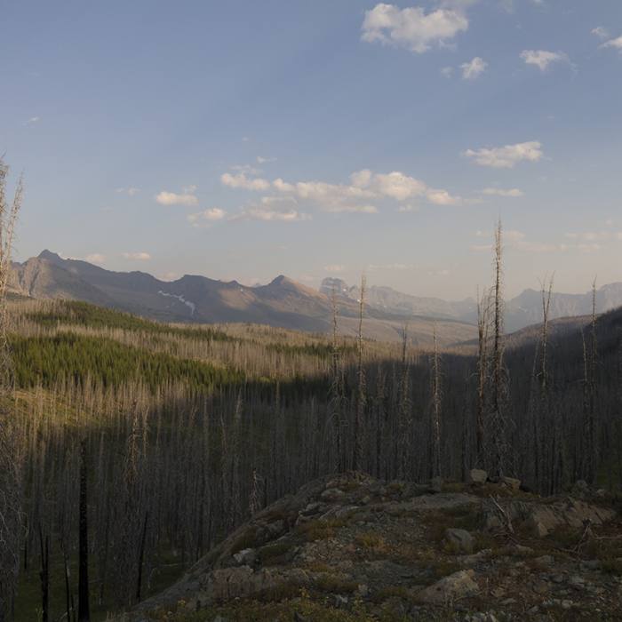 Looking south towards the Garden Wall from the high point of the trail on Flattop Mountain. Near Flattop Mountain