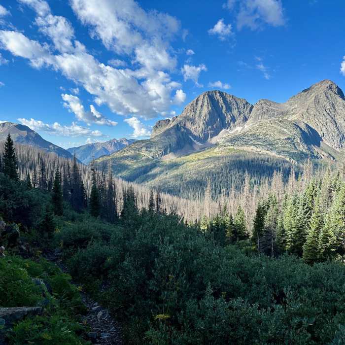 Near Continental Divide Trail: Colorado Section 8