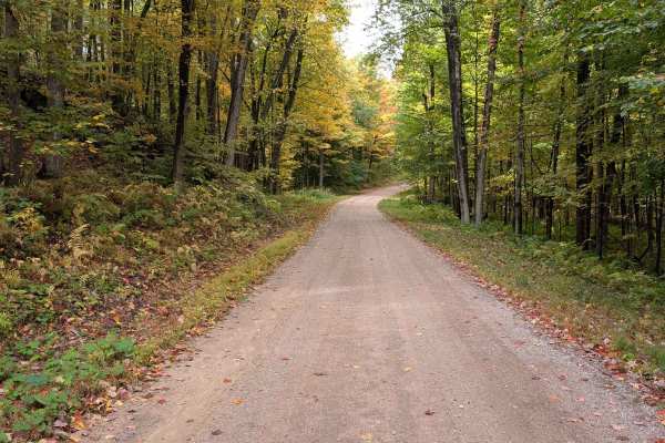 Boyd Pond Access Road
