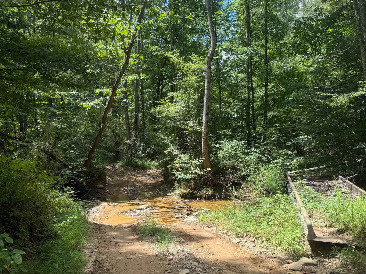 406E trail photo