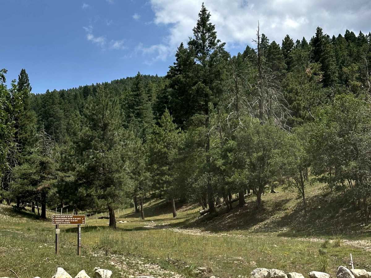 Upper Rio Penasco photo 2