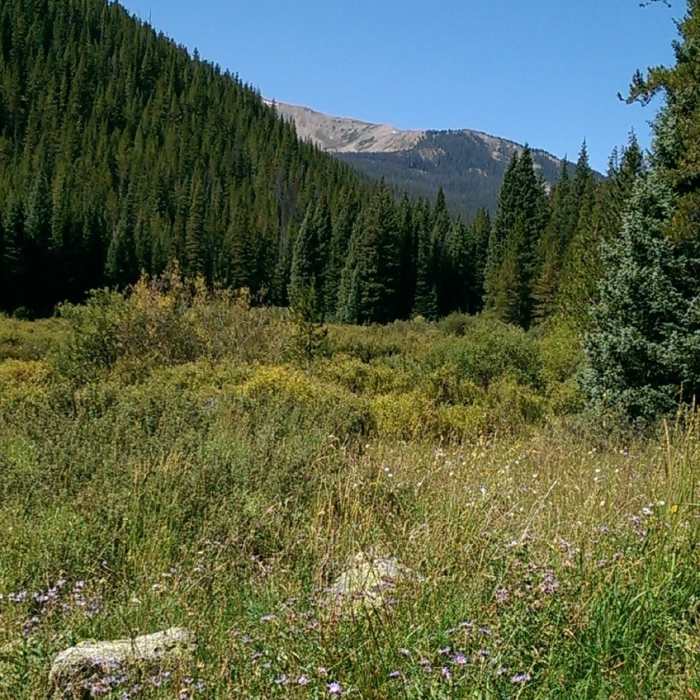 Near North Tenmile Creek