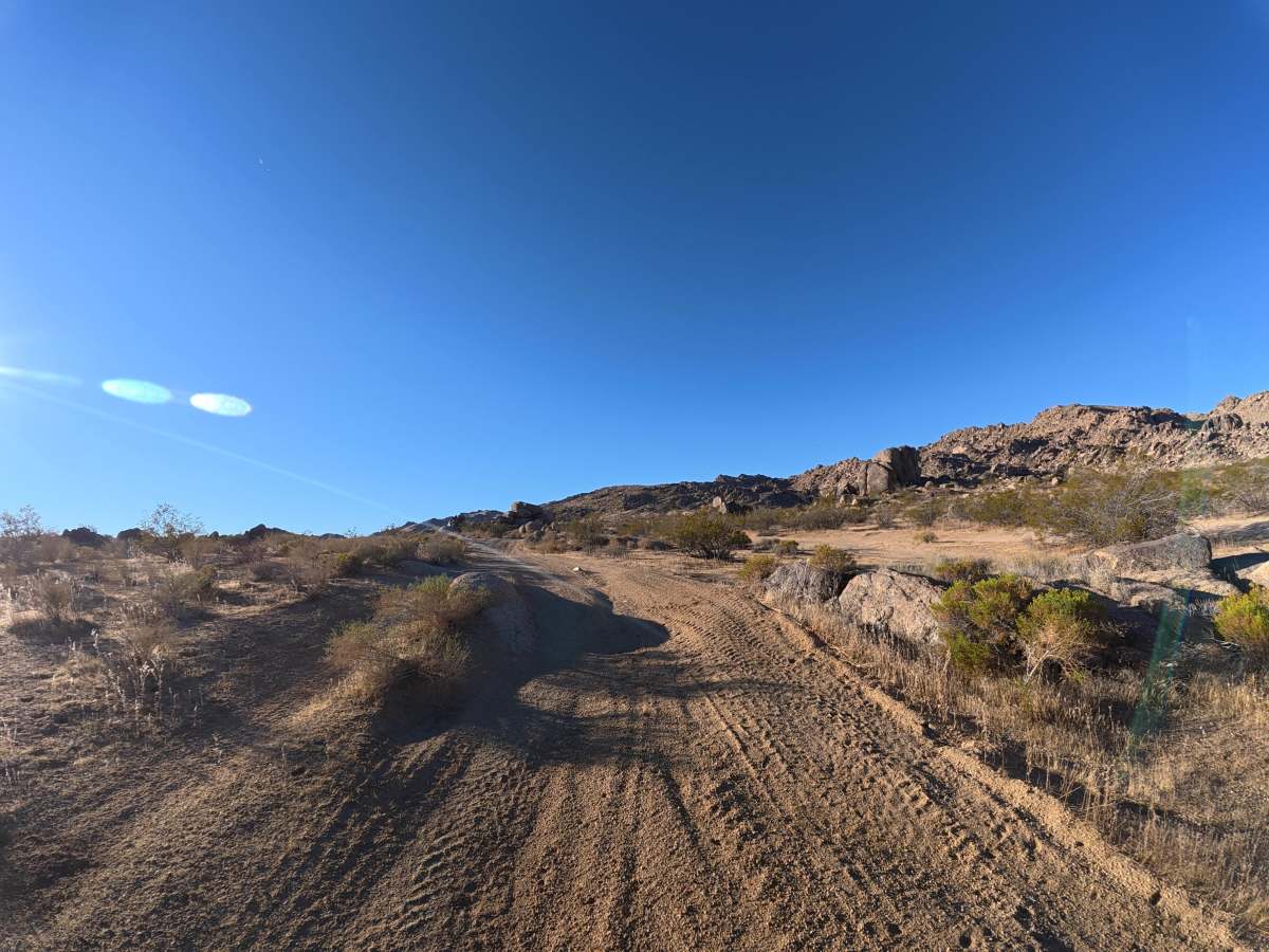 BLM SV2613 photo 5