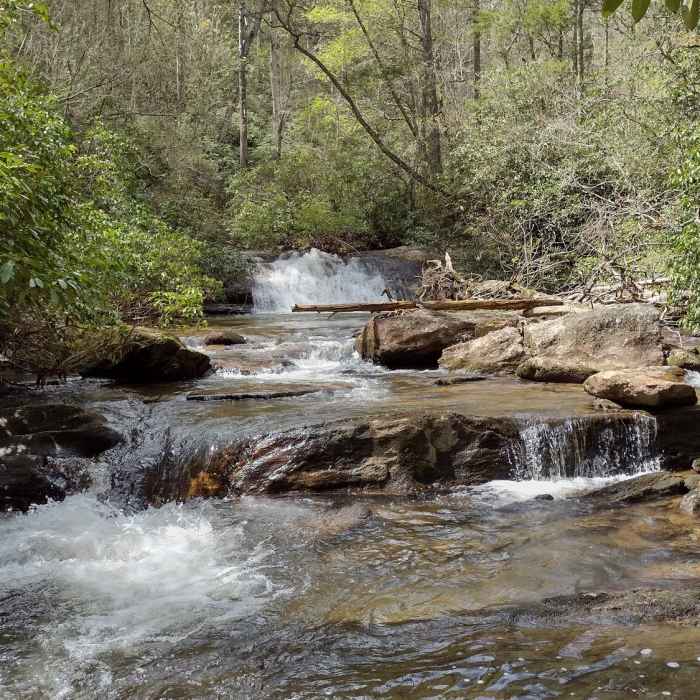 Near Fish Hatchery to Ellicott Rock Loop