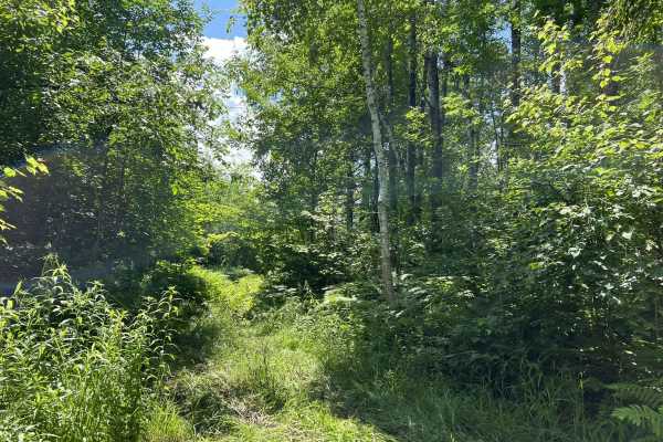Forest County ATV/ SxS 8 Mile Loop Trail 1 Bypass
