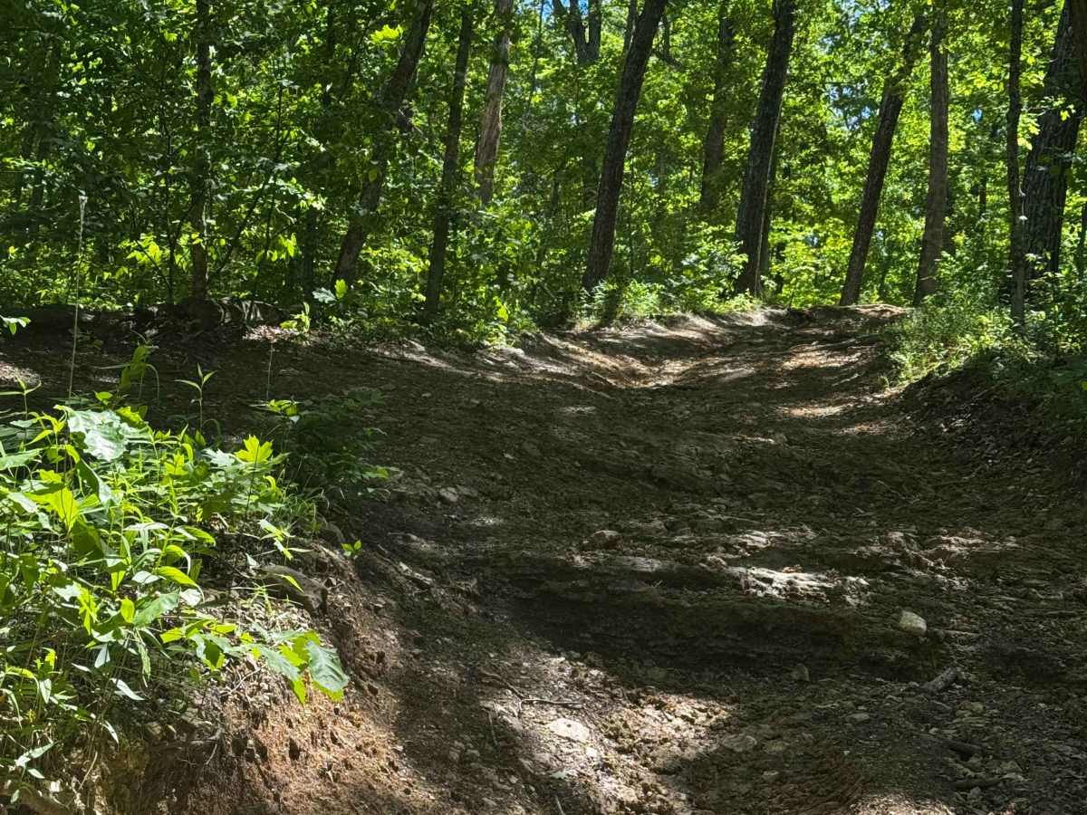 Inner Track 90 photo 2