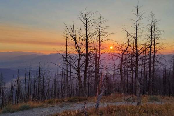 Mormon Peak