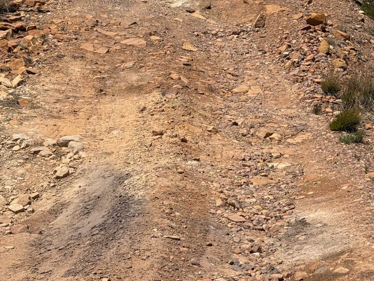 FS 141 trail photo