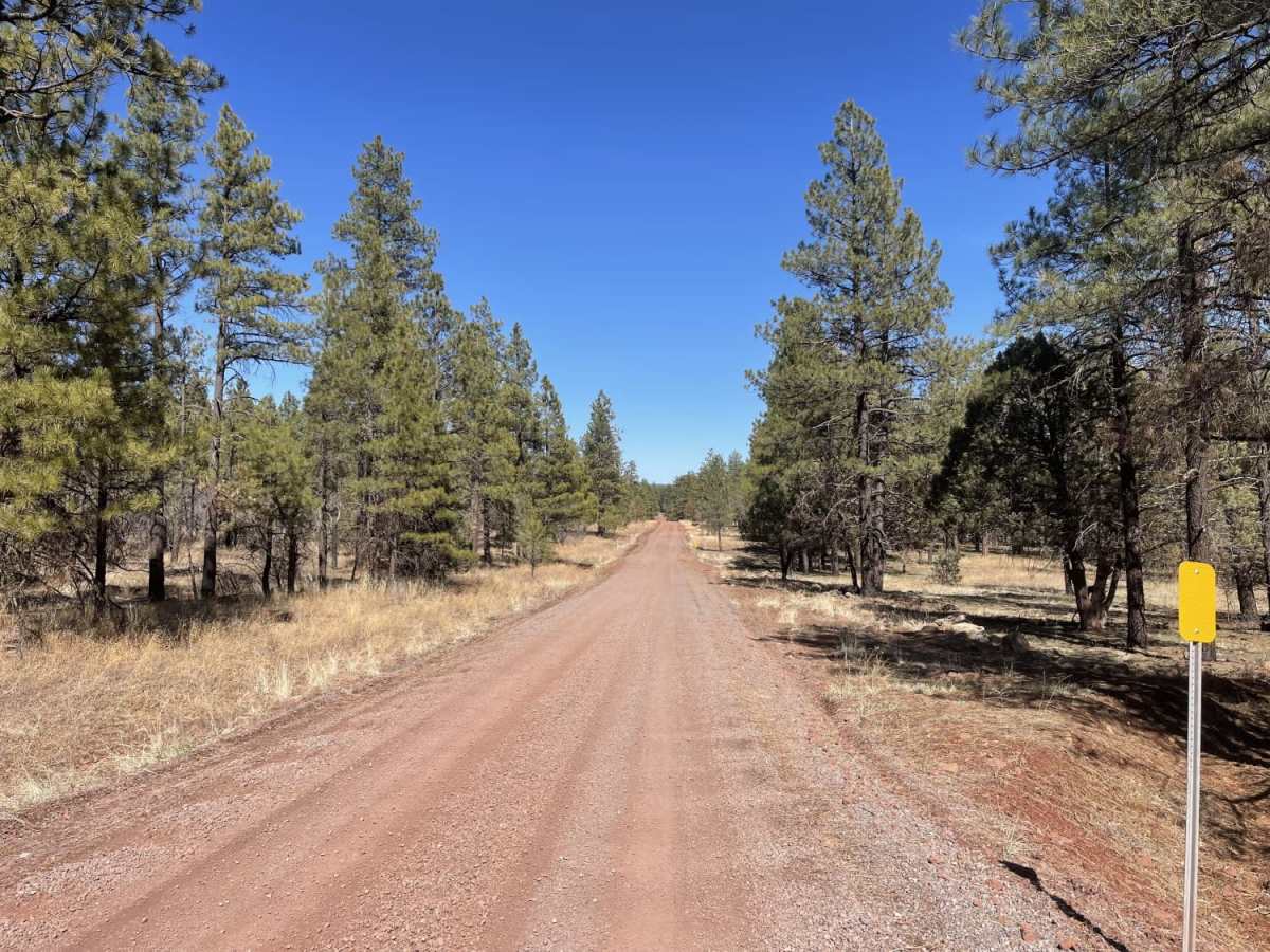 Ruin Mountain photo 5