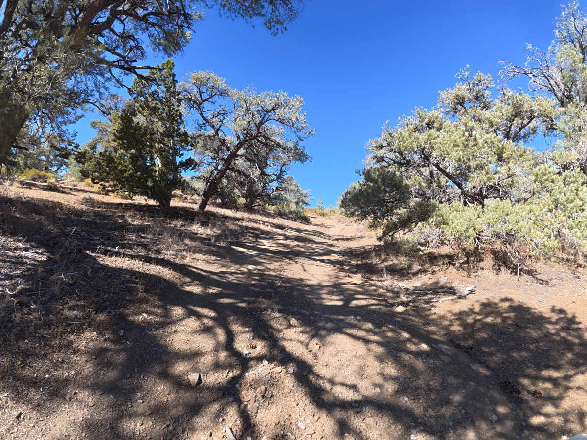 FS 8S109C trail photo
