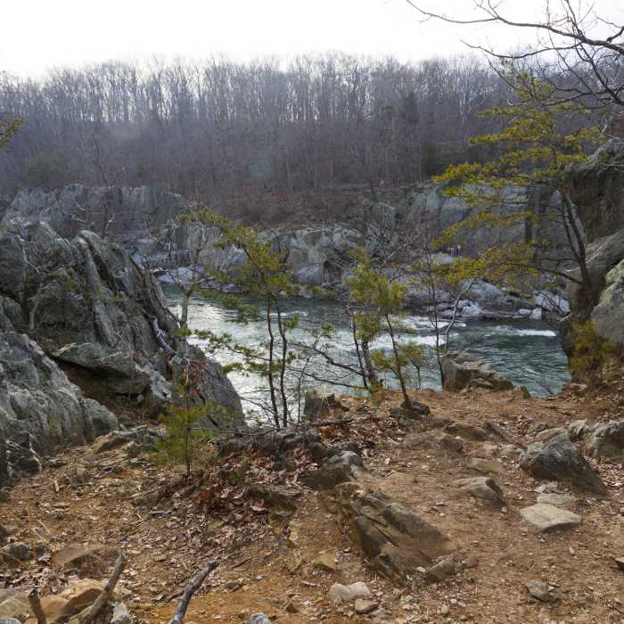 Beautiful views of the Potomac can be had from River Trail. Near Riverbend--Great Falls Loop