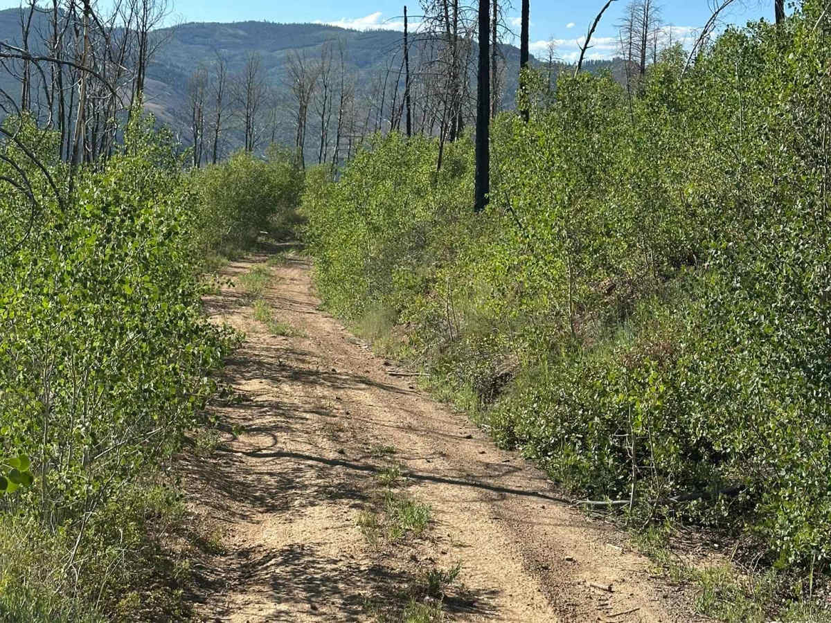 BLM Route 2768 photo 4